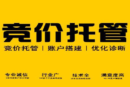 行业领先企业的信息流竞价策略揭秘
